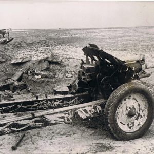 1944sadehgF1