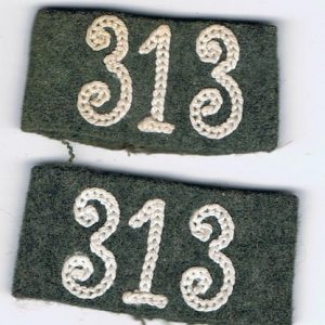 313overschF1