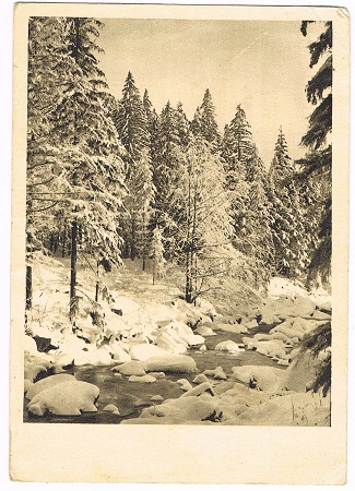 Field post card Artillerie-Abteilung 858 1942 - Image 2
