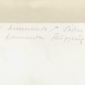 ArepamiensbF2