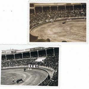BilfspainF1