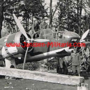 BlenhimbrafF2