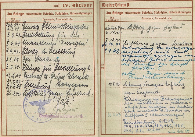 Wehrpass NCO Flak Norway Lapland Shield - Image 6