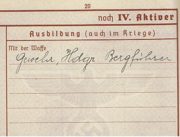Wehrpass NCO WW1 Feldjäger Italy WW2 hospitals Austria - Image 6