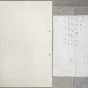D21811F2