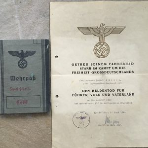 D21893F1