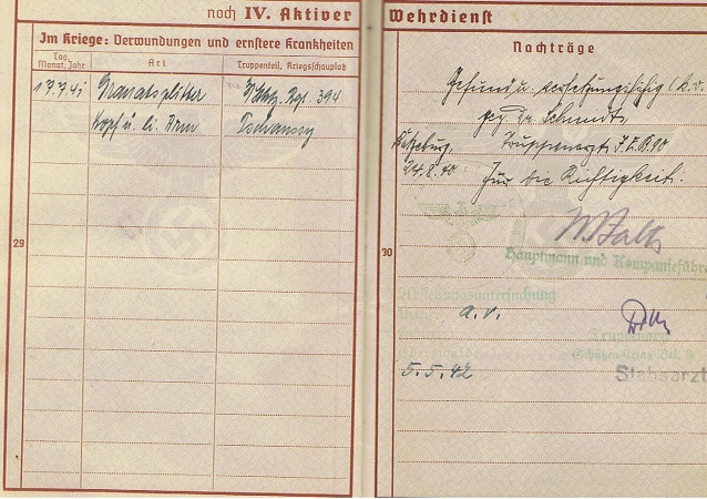 Wehrpass Panzerjäger 3.Panzer-Division Middle Russia VWA Gold - Image 6