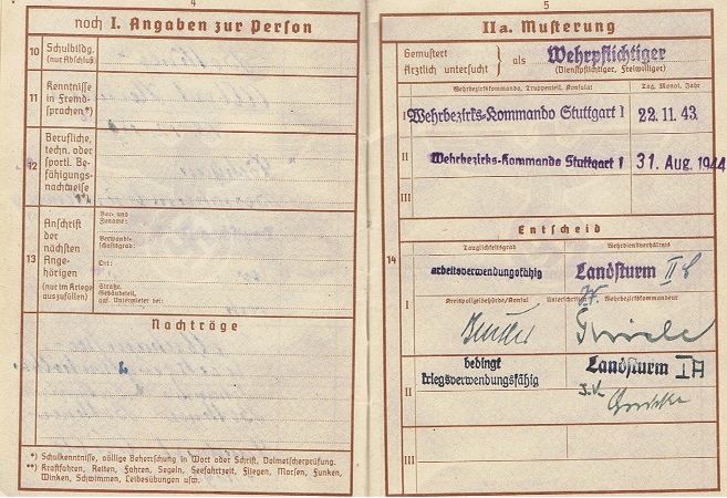 Wehrpass Landwehr-Infanterie-Regiment 119 1914-1917 EK2 - Image 5