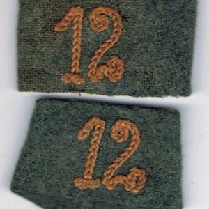 DgbruineF1