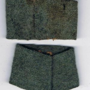 DgbruineF2