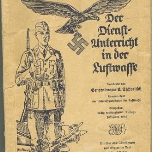 Dienstflieg41F1
