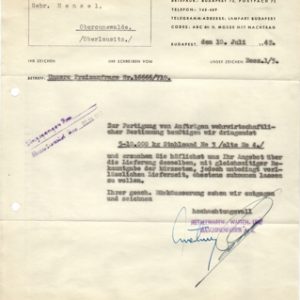 DothwaffenbudapestF1