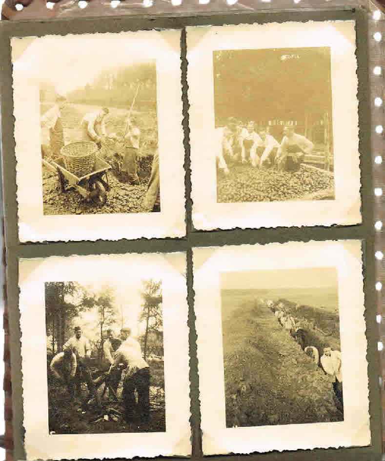 Photo album RAD Freiwillige Arbeitsdienst 1933 Albringhausen - Image 12