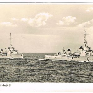 F8F10geliF1