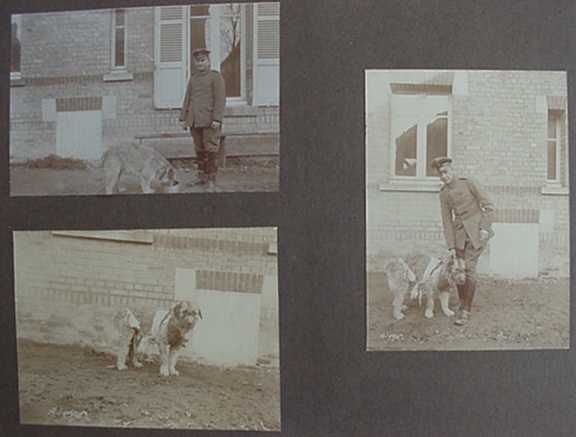 Photo album field artillery western front - Image 6