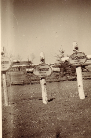 Graves Artillerie-Regiment 126 and 207 Northern Russia 1942
