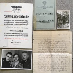 FliegpanzeF1