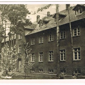 Grusstibor1F1