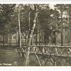 Grusstibor2F1