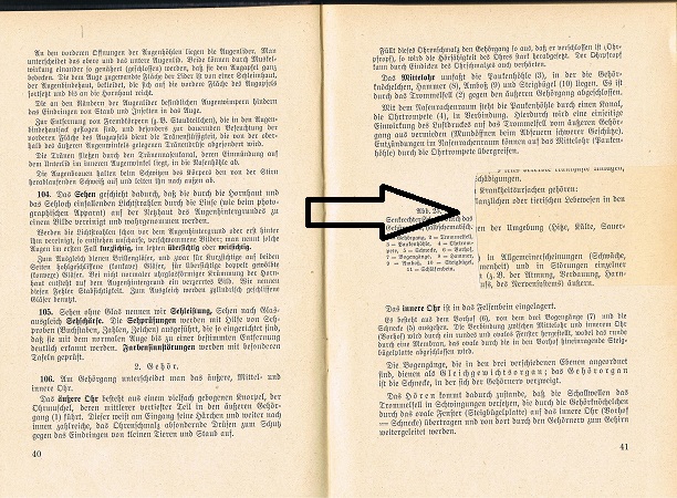 H.Dv.59 Unterrichtsbuch für Sanitätsunteroffiziere 1939 - Image 3