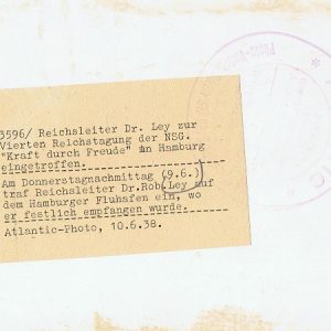 HamburgleyF2