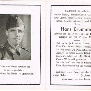 Hansbrummer2F1