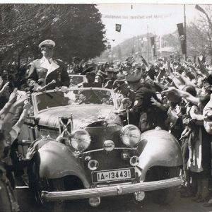 HermanngolinF1
