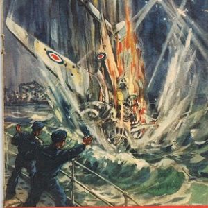 Kriegsb16F1