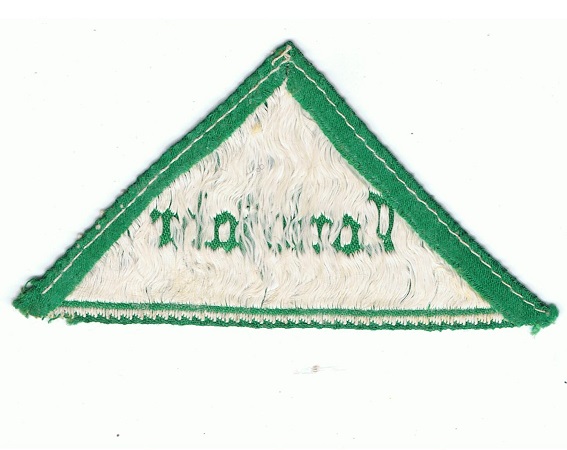 Landjahr sleeve triangle HJ BDM #2 - Image 2