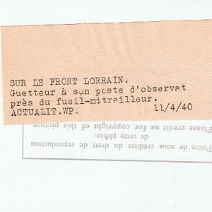 LorrafronmnF2