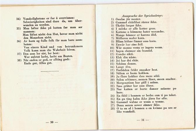 Dictionary for soldier in Norway 1941 - Image 6