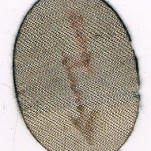 PanzersigslpF2