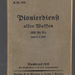 PionierdefF1