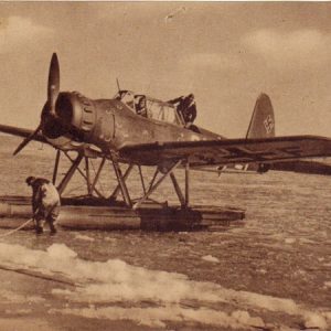 Pkadlerar196F1