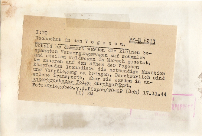 Press photo war reporter Vosges France 1944 Wehrmacht - Image 2