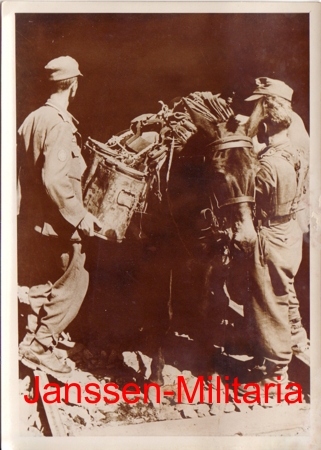 Press photo war reporter Gebirgsjäger Italy with mule 1944