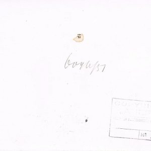 PrinsbernhF2