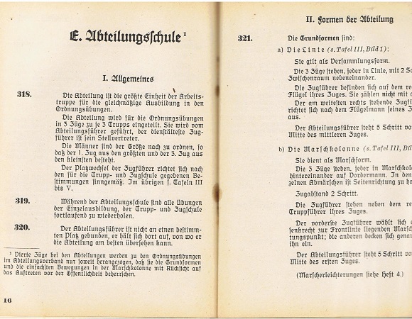 RAD Reichs Arbeitsdienst training of formations 1938 - Image 3