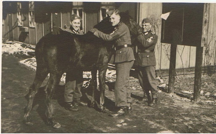 Two postcard sized photos RAD Abteilung 4/104 - Image 3