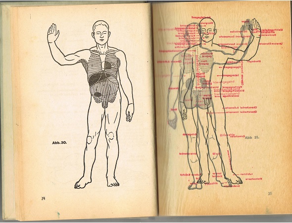 DRK Red Cross manual Amtliches Unterrichtsbuch Erste Hilfe 1943 - Image 3