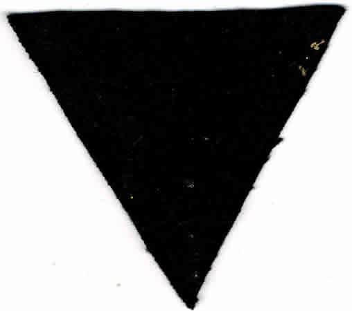 Waffen-SS sturmmann Africa rank insignia - Image 2