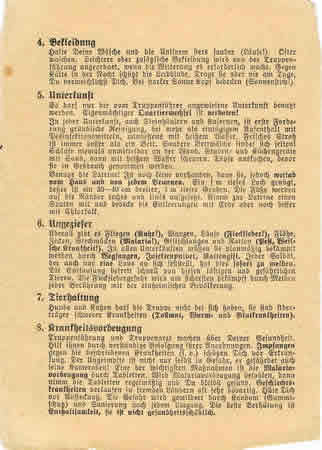 Soldbuch inlay sanitation instructions 1942 #1 - Image 2