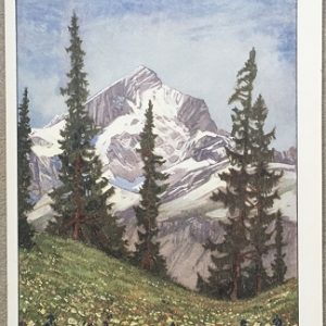 TeldormhF1