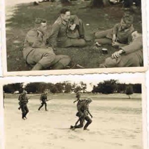 TwfpoldenbF1