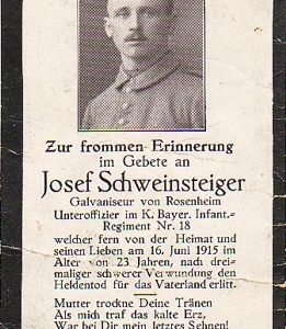 WO1dcschwein16615F1