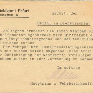WerhmerfF1