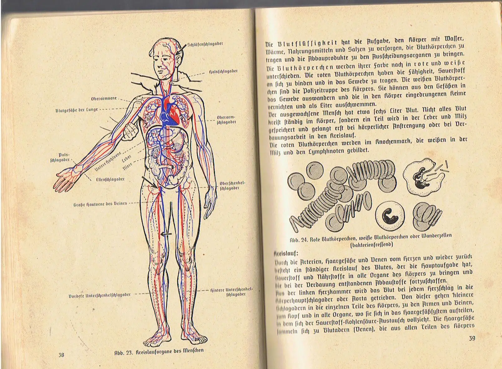 BDM medical manual Gesundheitsdienst 1941 - Image 6