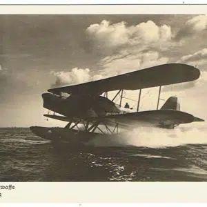 LuusfwasF1