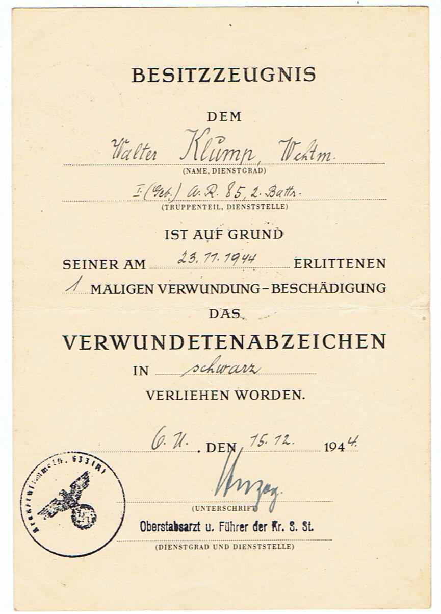 VWA Black Wachtmeister Artillery 101.Jäger-Division Carpathes 1944
