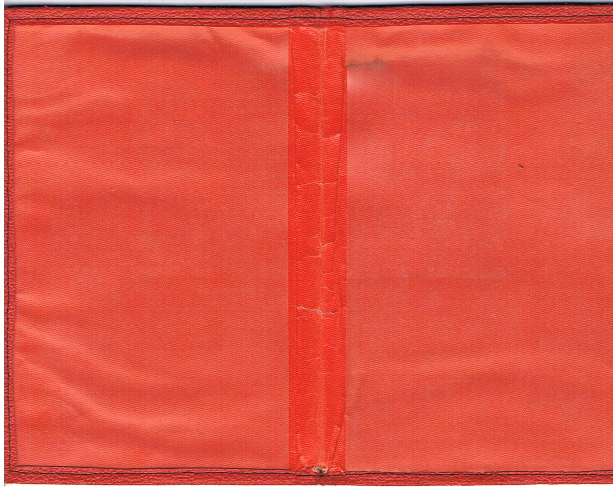 Cover for the Kennkarte grey third reich identity card - Image 2